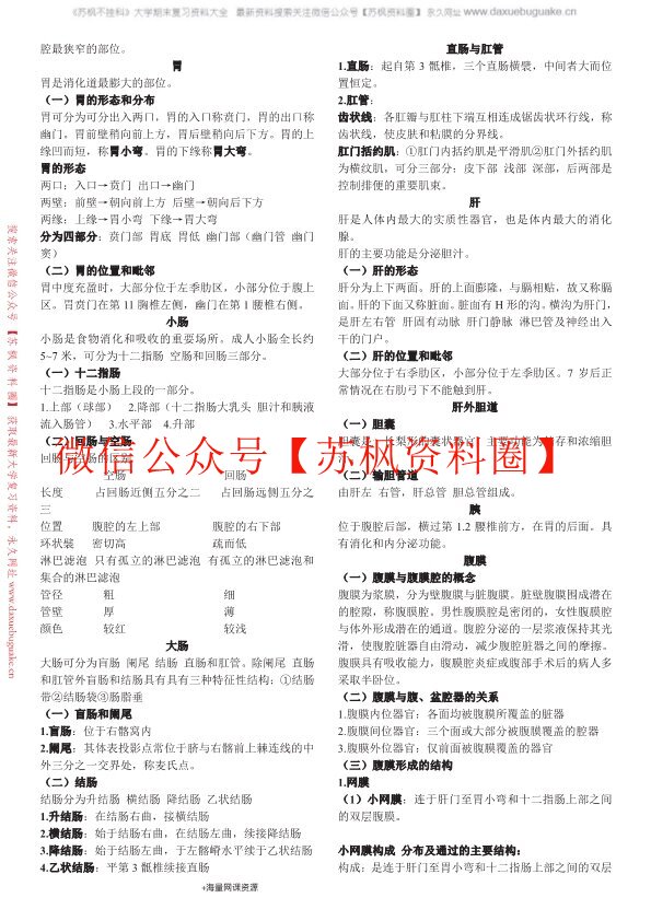 人体解剖学